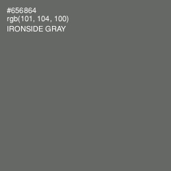 #656864 - Ironside Gray Color Image